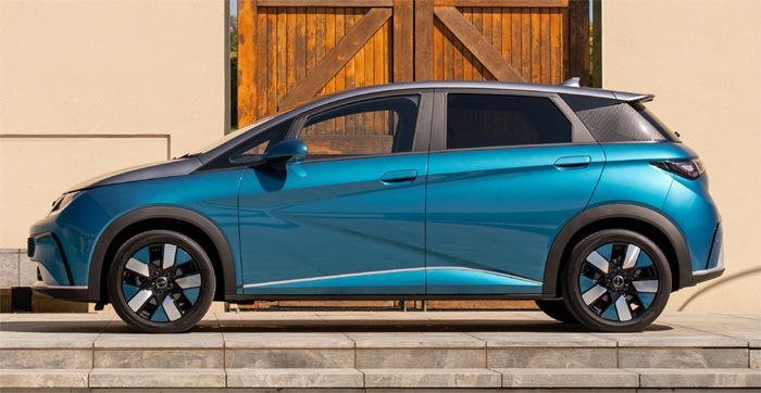 BYD Dolphin Active 