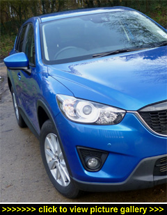 Click to view picture gallery