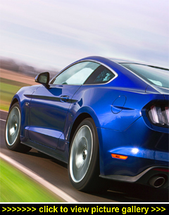 Click to view picture gallery