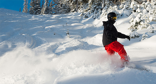 20cm of powder on Whistler Mountain